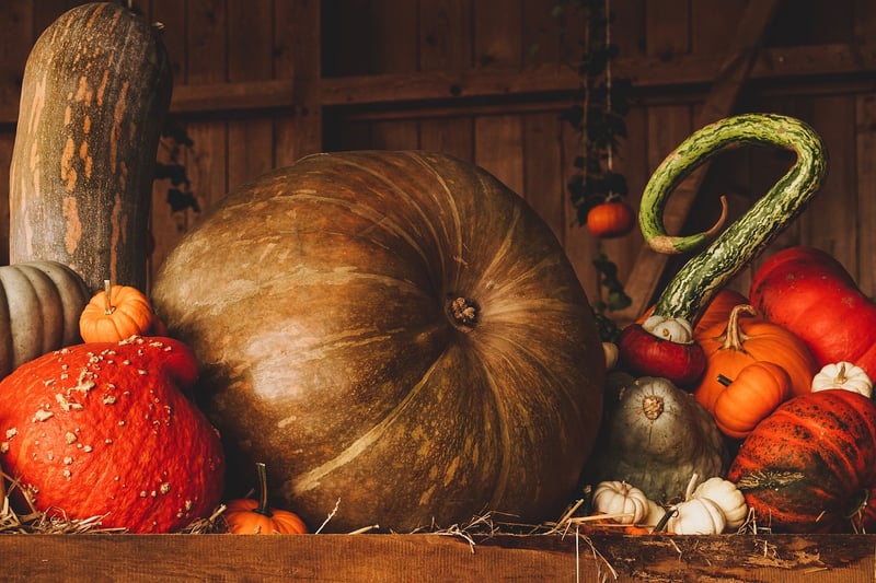 Fall Harvesting Tips
