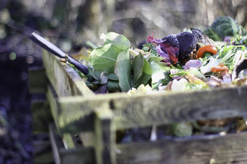 Homemade Compost