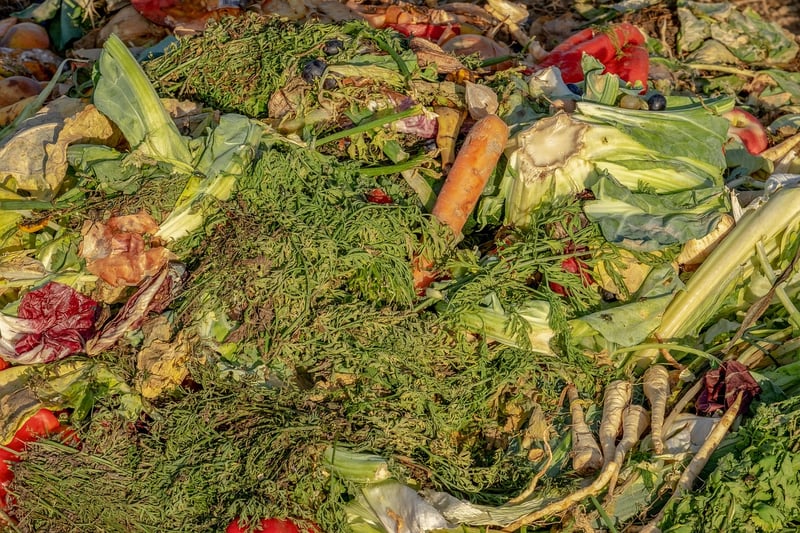 Homemade Compost