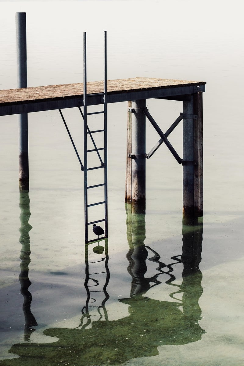 Ladder Trellis
